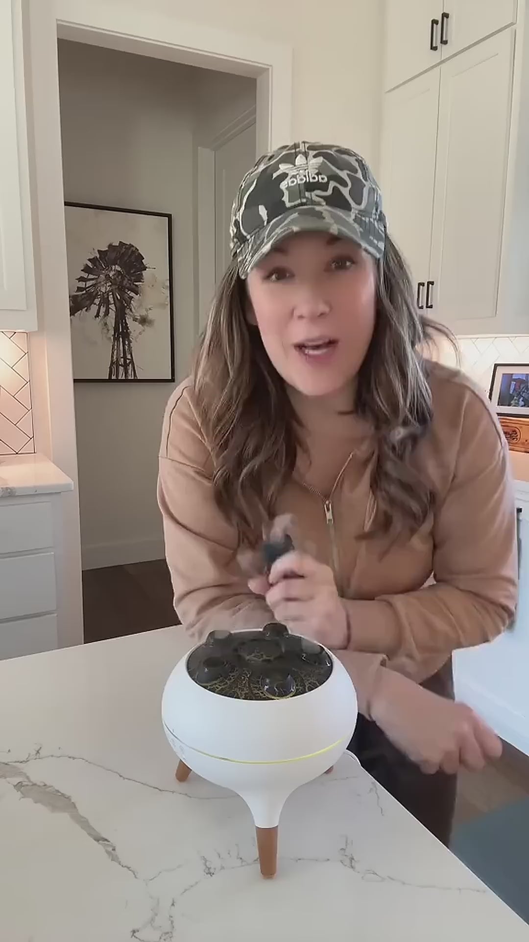 Aromatherapie Jelly Diffuser